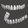 Model-G.png Aesthetic Tooth Libraries