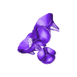 STL_Valves.stl 3D Model of Heart in Thorax