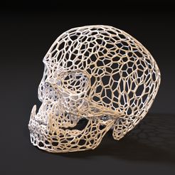 10000.jpg Fichier 3D Crâne d'orque・Design pour imprimante 3D à télécharger