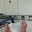 Imagem-do-WhatsApp-de-2024-10-18-à-s-10.52.46_48657482.jpg white shark tooth