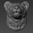 6.jpg Lion cub head