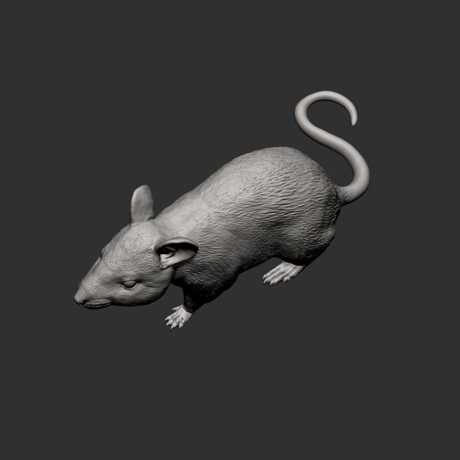mouse13.jpg Mouse 3D print model