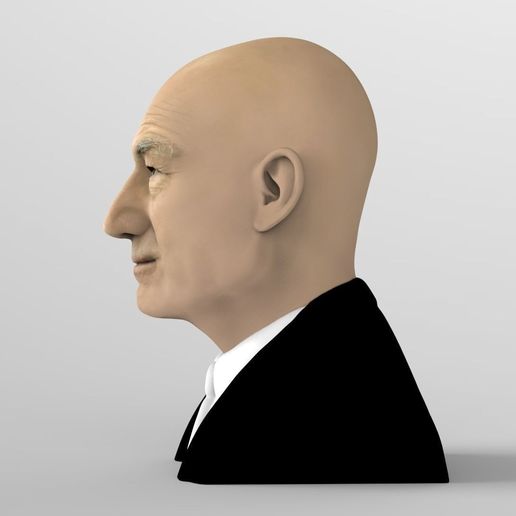 professor-x-charles-xavier-bust-ready-for-full-color-3d-printing-3d-model-obj-mtl-fbx-stl-wrl-wrz-3.jpg Professor X Charles Xavier from X-Men bust full color 3D printing