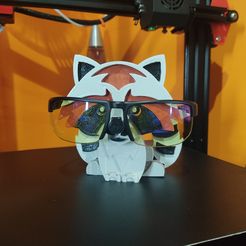 R1.jpg Fichier STL Porte-lunettes Raton laveur・Objet imprimable en 3D à télécharger