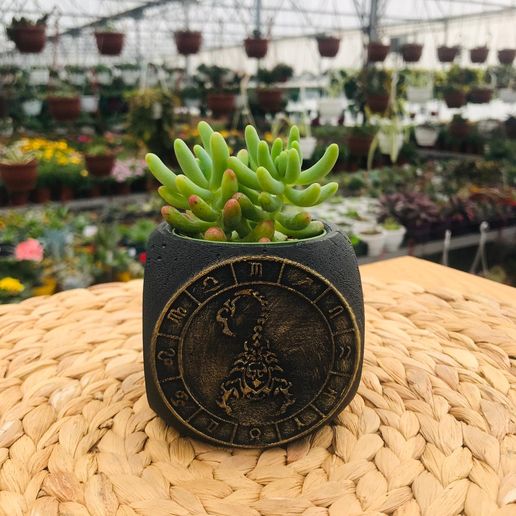 Zodiac Scorpio Planter Pot 3D model