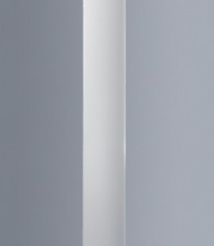 cl.jpeg Columna dórica / Doric column