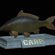 carp-statue-4.png fish carp / Cyprinus carpio statue detailed texture for 3d printing