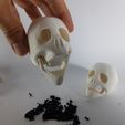 20220315_191225.jpg SKULL (print-in-place, mouth opening)