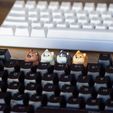 Dogys_keycaps-02.jpg Doggies Tastenkappen - Mechanische Tastatur
