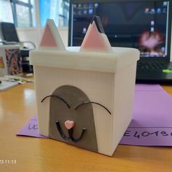 IMG20230223111350.jpg Archivo STL gratis BOX PANDY GABBY CAT・Plan imprimible en 3D para descargar