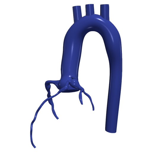 5.png 主动脉和冠状动脉 3D 模型 - 6 件装