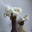 IMG_8200.jpeg Modern vases / Modern vases