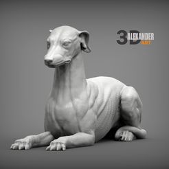 greyhound-lies-3.jpg Archivo STL greyhound lies Modelo impreso en 3D・Diseño de impresión en 3D para descargar