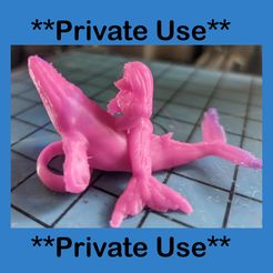 Private-Use.jpg Merducka Keychain ** Private Use**