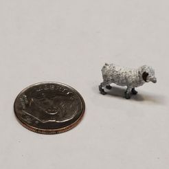 Bighorn sheep