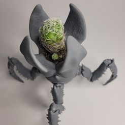 Maceta-Cactus-001.jpg Pot - Green Revenge
