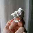 Capture d’écran 2018-04-05 à 15.28.31.png Dasaki punk skull ring