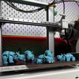IMG_1626.jpg Articulated Hippo
