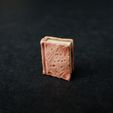 P4090148_Flesh-Book.jpg Books and Scrolls