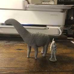 1/60th scale Shunosaurus sauropod model