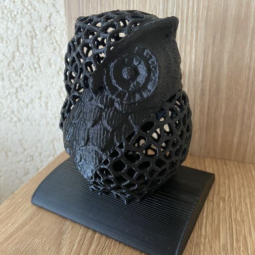 IMG_3947.jpeg Voronoi money box owl