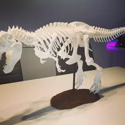 T-Rex Skeleton