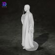 1.jpg Lord Voldemort Harry Potter Action Figures Custom 3D Print Model 3D print model