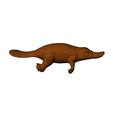 Screenshot-2023-06-02-192222.jpg Platypus