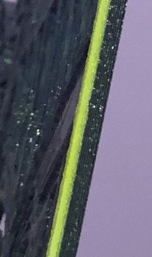 Esempio-bicolore.jpg Alien: Xenomorph - Framed lithograph