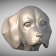 Zrzut-ekranu-2025-06-13-220100.png 用于 3D 打印的比格犬头部小狗