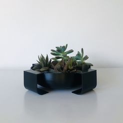 tempImagecpwvqF.jpg Archivo STL Jardinera con suculentas - jardín en el escritorio・Plan imprimible en 3D para descargar