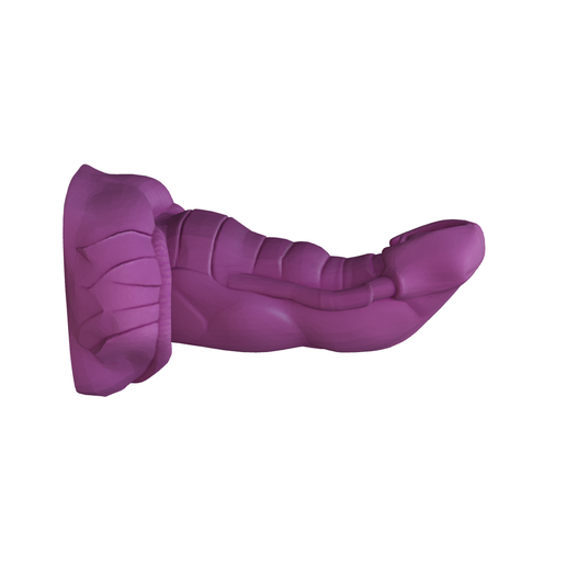 scorpion sex toy Sex Toy Guide