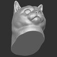16.jpg British Shorthair cat head for 3D printing