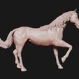 08.jpg American Quarter Horse model 3D print model