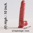Size.jpg RDL-001 REALISTIC DILDO V.1