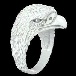 Screenshot-2023-10-01-203000.png Eagle Ring