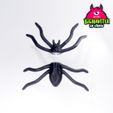 Earing_Spider_E.jpg Boucles d'oreilles araignée magnétique