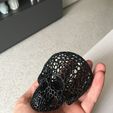 IMG_3136.JPG Voronoi skull
