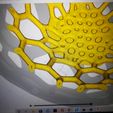 IMG_20220128_160909.jpg Archivo STL gratuito Jarrón Voroni・Objeto para descargar e imprimir en 3D