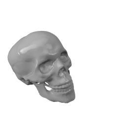 Skull-v1.png Free STL file Simple Human Skull・3D printable object to download