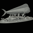 my_project-1-30.png mahi mahi / dorado / common dolphinfish underwater statue detailed texture for 3d printing