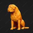 3041-Bullmastiff_Pose_06.jpg Bullmastiff Dog 3D Print Model Pose 06