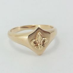 chevaliere fleur de lys or jaune 18k (2).jpg STL file Lily flower ring・Design to download and 3D print