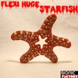 FLEXI-HUGE-STARFISH-logo.jpg FLEXI HUGE STARFISH