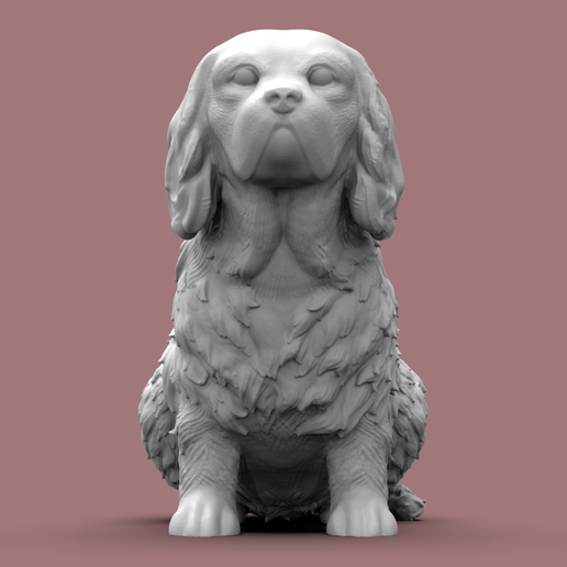 🤴 Cavalier King Charles Spaniel・ STL File for ・Cults