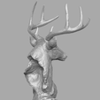 deer_16.png Deer head skulpture