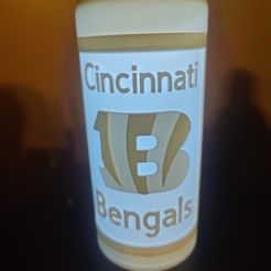 IMG20230829194758.jpg STL file Bengals Lithophane Wine Bottle・3D printing model to download
