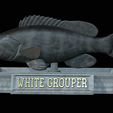 White-grouper-statue-19.png fish white grouper / Epinephelus aeneus statue detailed texture for 3d printing