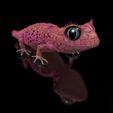 Nephriri0003.jpg Nephriri Pink Gecko-Lady- Fantasy- with Full-Size-Texture + Zbrush Original-High-Polygon- STL 3D-Print-File