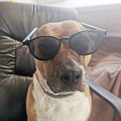 6.jpg Lunettes de soleil sans verres